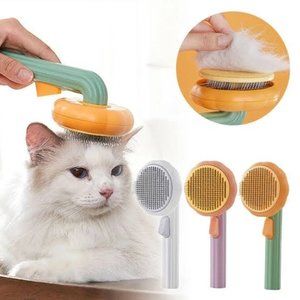 Pumpkin pets brush